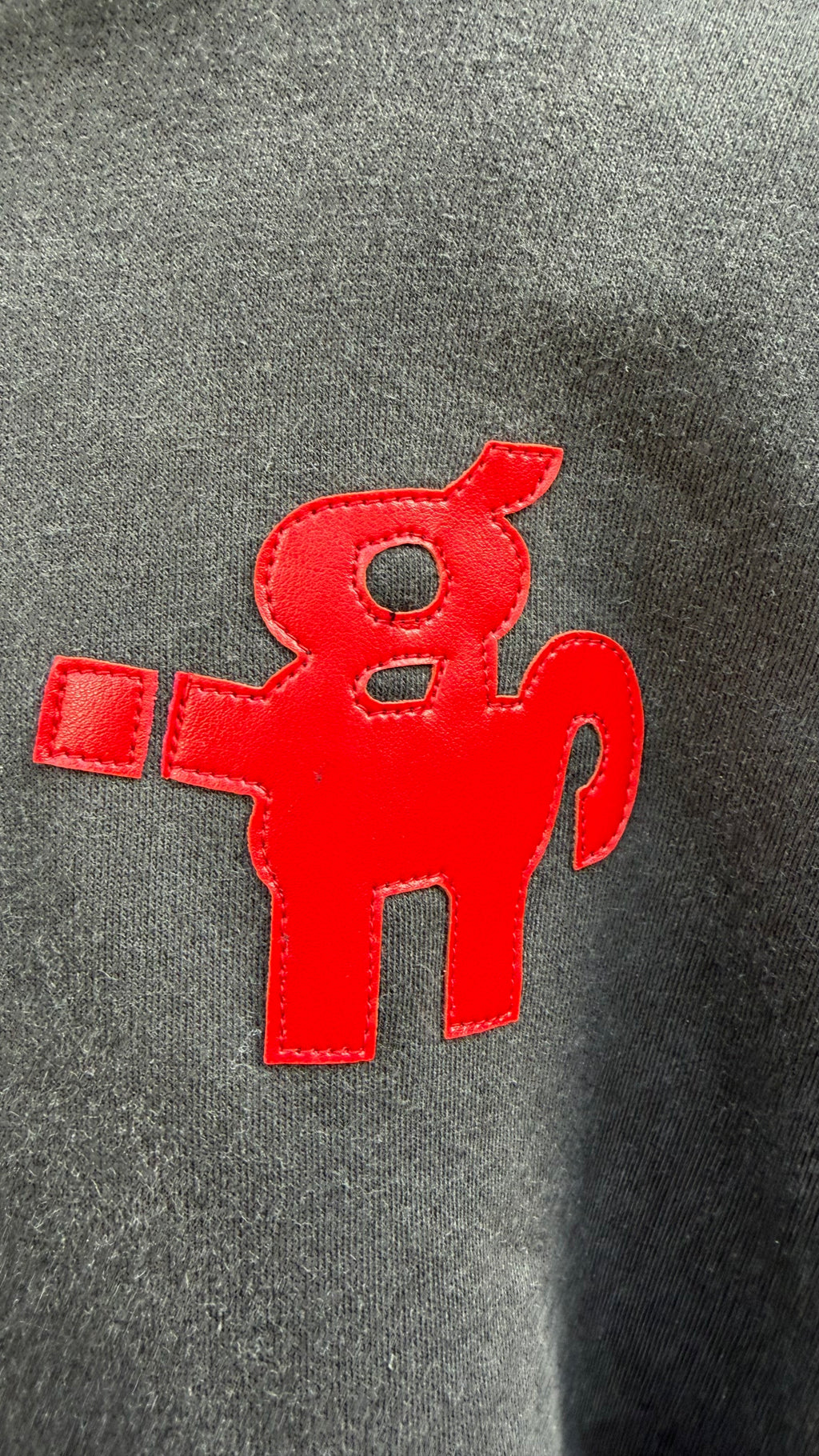 IGSU JEWELS ZIP UP HOODIE